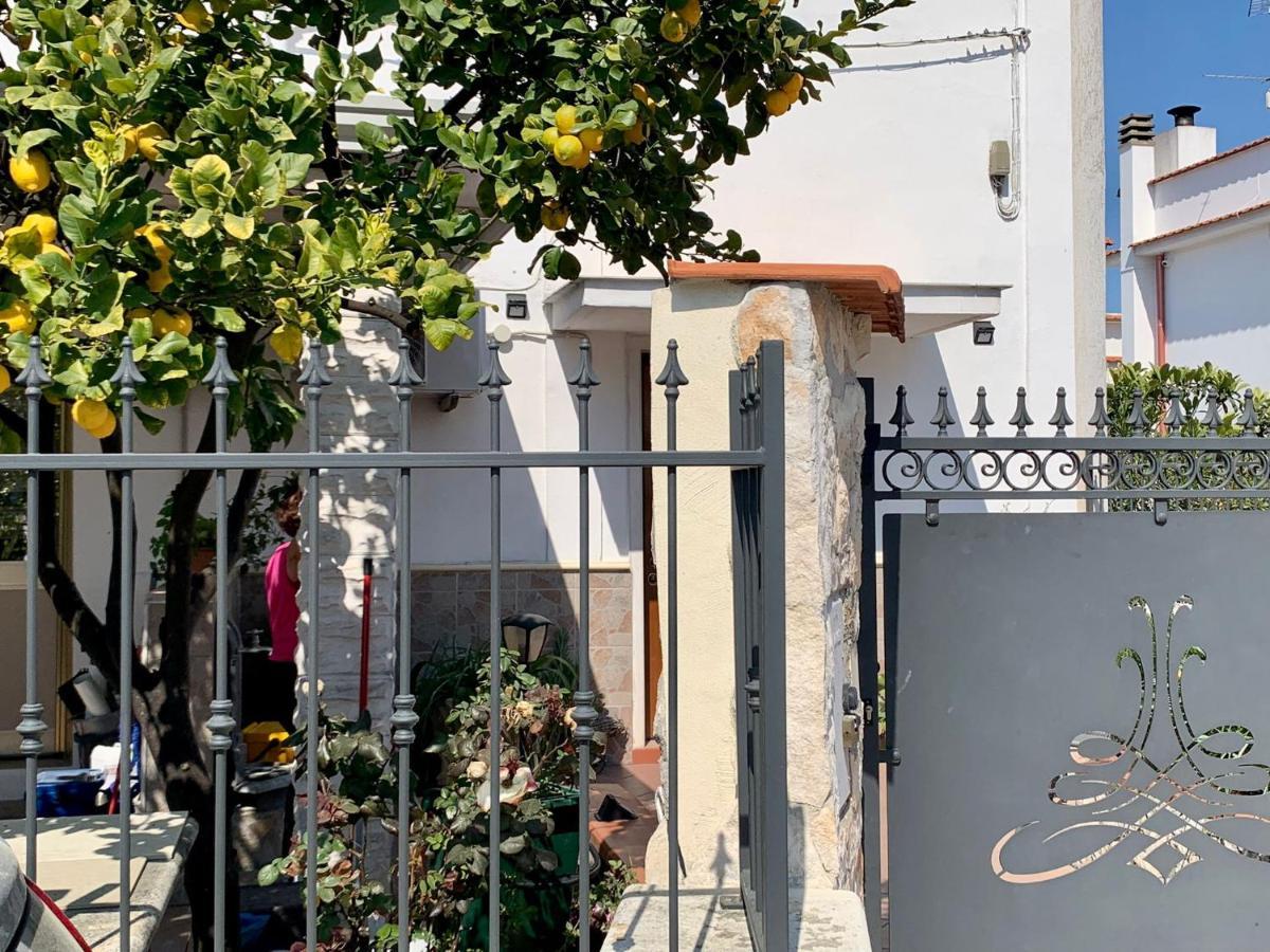 B&B Casa Biscotti Peschici Εξωτερικό φωτογραφία
